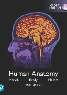 (eBook) Human Anatomy, Global Edition